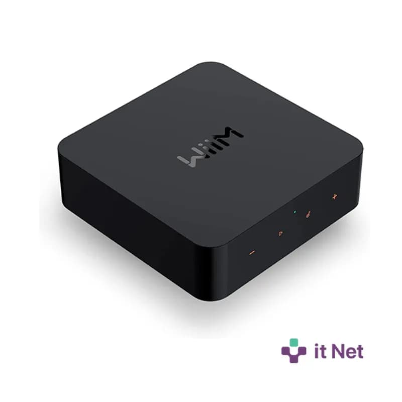 WIIM AMP GREY